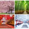 Seasons In Japan