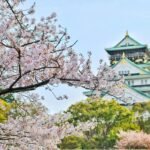 best time and place for spring flowers in Japan