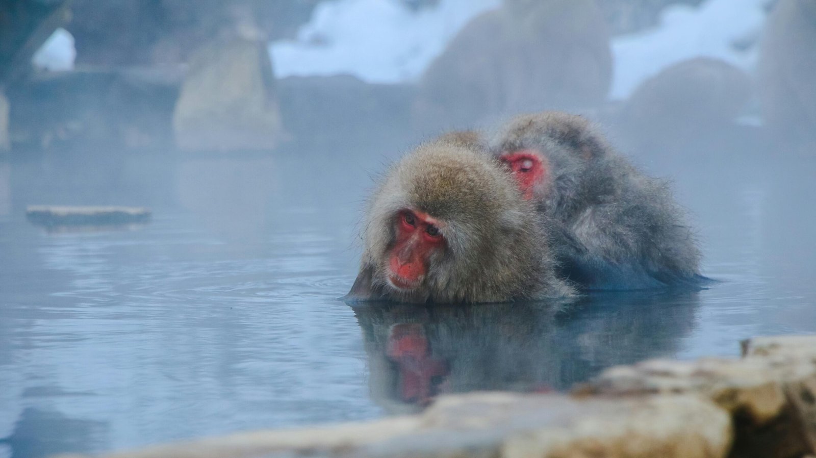 Discover the ultimate guide to onsen in Japan, covering essential etiquette and the best locations to enjoy a traditional hot spring bath. Enhance your cultural experience with our expert tips.-Japanchunks