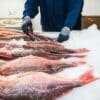 Japan's seafood exports drop 16.9% after treated water release began a year ago