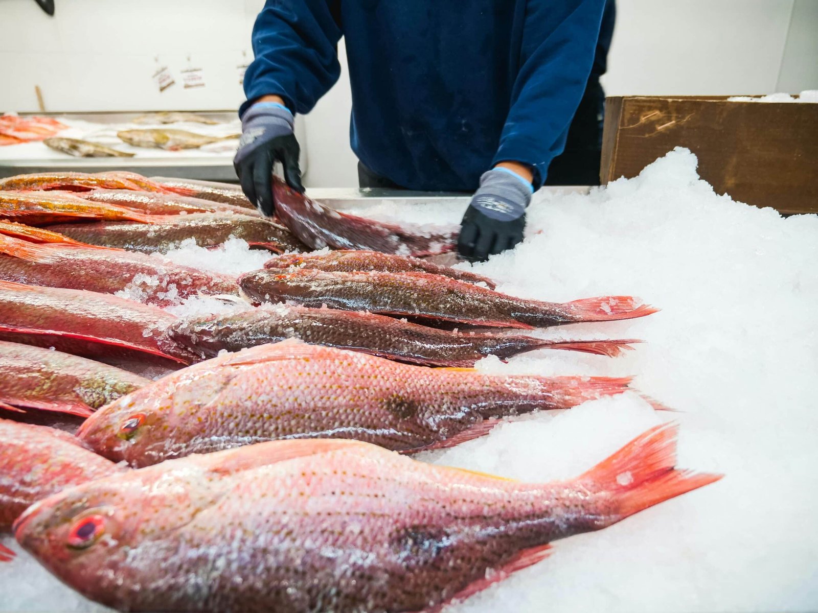 Japan's seafood exports drop 16.9% after treated water release began a year ago-Japanchunks